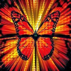 Meet your Posher, Jamilah